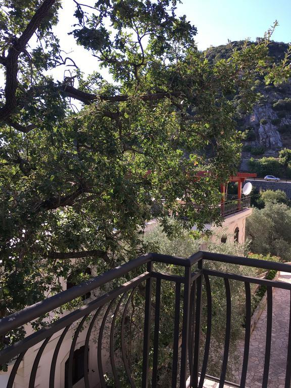 Petrovac Villa Julia מראה חיצוני תמונה