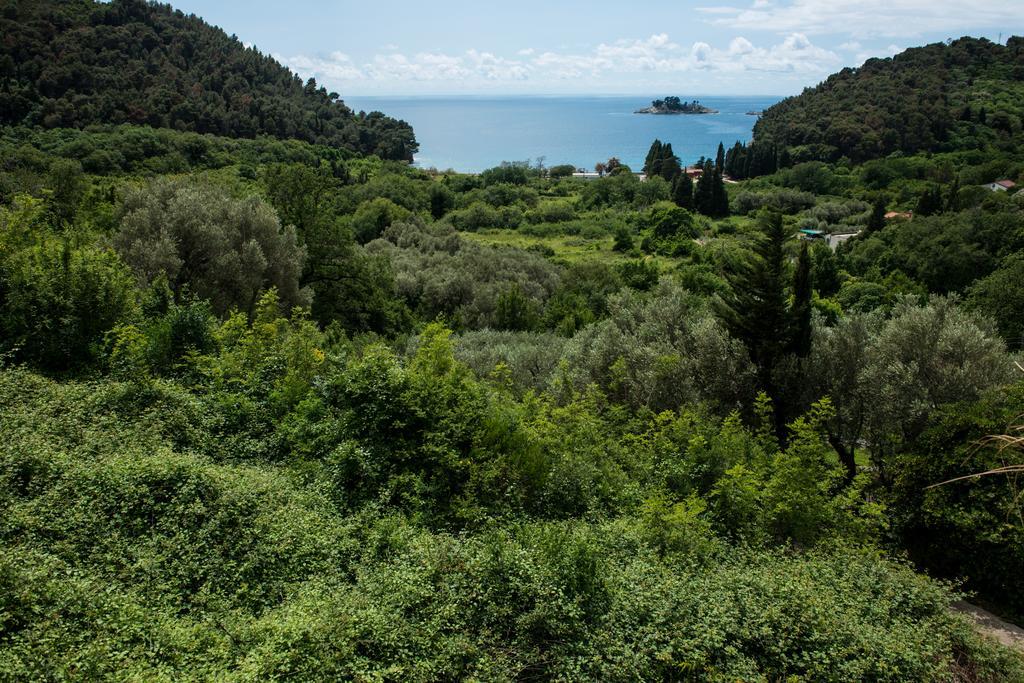 Petrovac Villa Julia מראה חיצוני תמונה