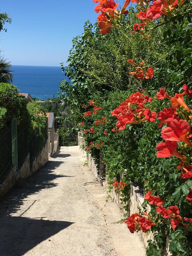 Petrovac Villa Julia מראה חיצוני תמונה